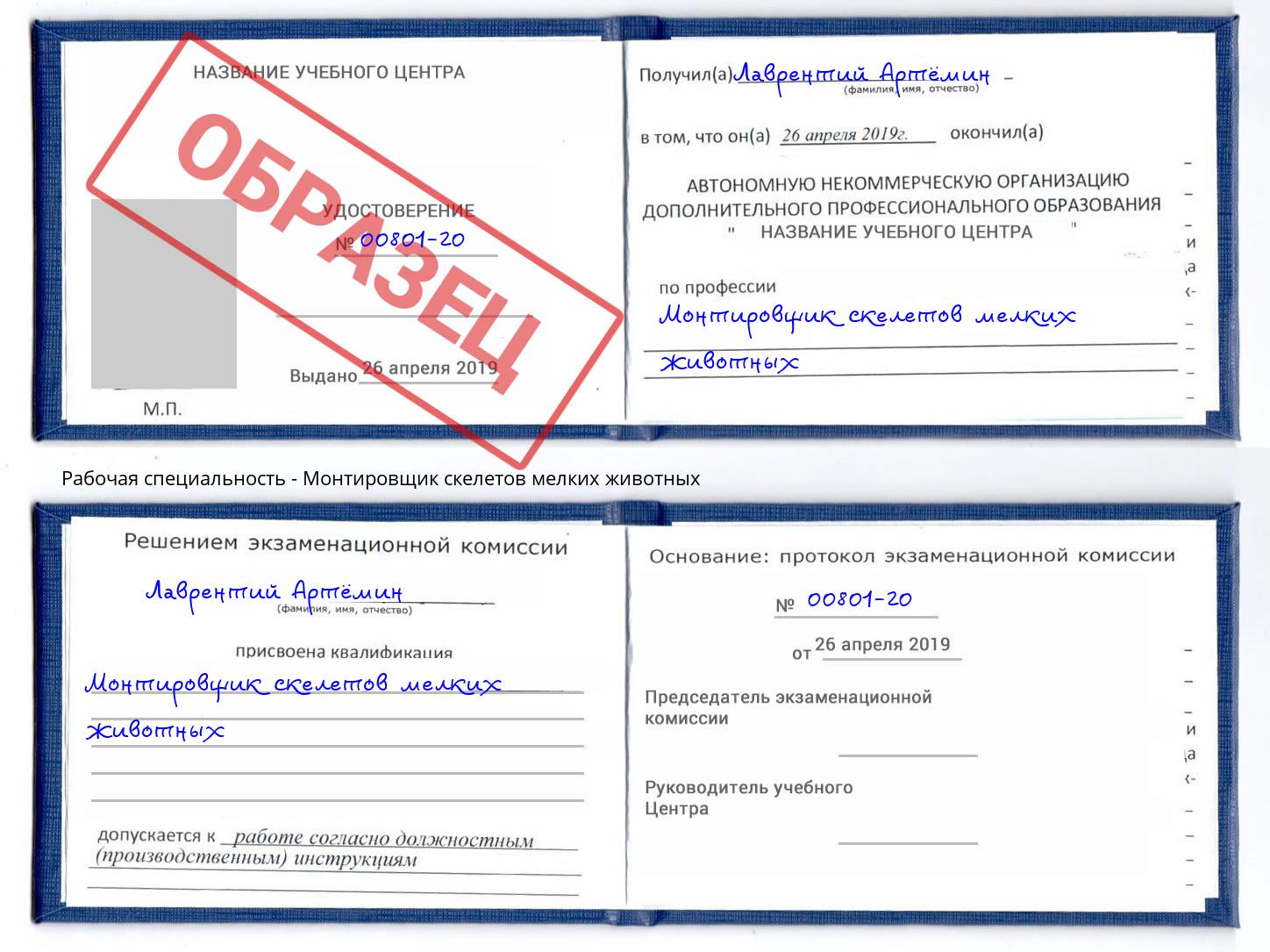 Монтировщик скелетов мелких животных Усть-Кут